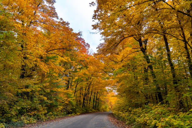 istock Fall colors at Pathfinder Island and Source Lake, Algonquin Provincial Park, Canada 1347352757