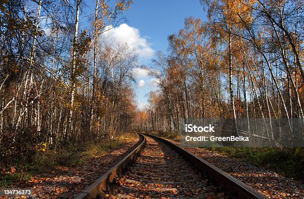 Ferrovia - Fotografie stock e altre immagini di Ambientazione esterna - Ambientazione esterna, Arrugginito, Autunno