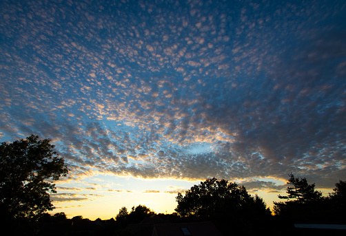 Beautiful sunset. Orange clouds in the sky. Horizon. Twilight