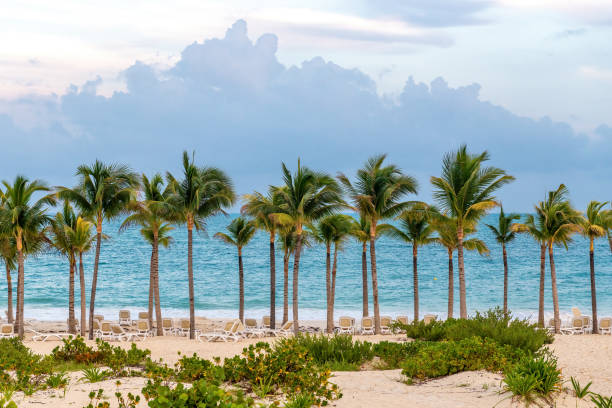 tropical landscape on cuba