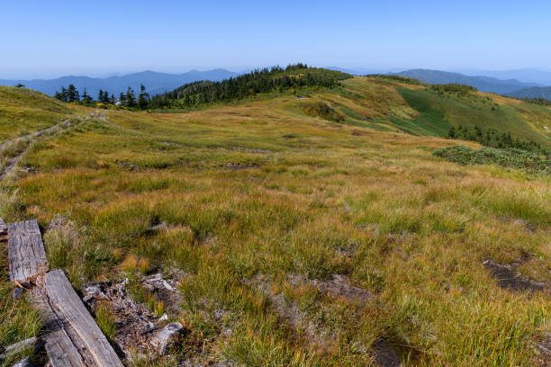 istock Mountain trail from Mt. Aizukomagatake to Mt. Chumondake 1347366538