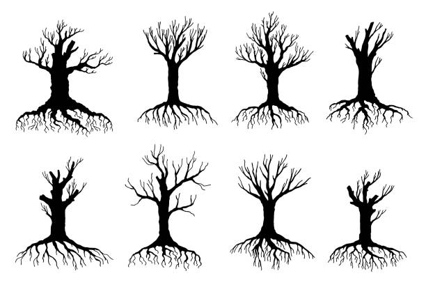 ilustraciones, imágenes clip art, dibujos animados e iconos de stock de siluetas de árboles muertos y marchuelos, medio ambiente - tree branch burnt silhouette