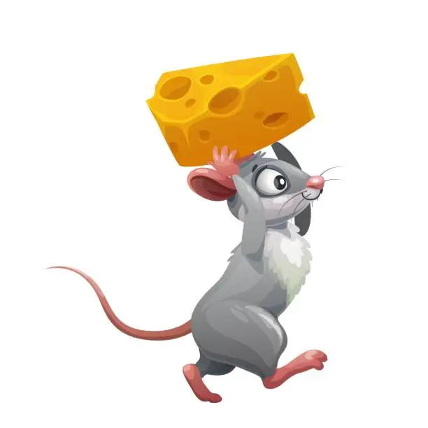 Vector illustration of Cartoon grey mouse with cheese, funny rat animal