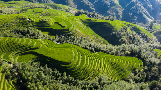 Terraces fields of Guilin, China