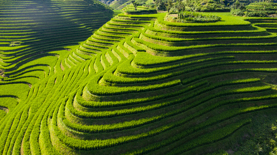 Terraces fields of Guilin, China