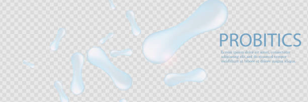 Probiotics Bacteria Vector illustration. Biology, Science background. Microscopic bacteria closeup. Probiotics Bacteria Vector illustration. Biology, Science background. Microscopic bacteria closeup probiotic pattern stock illustrations