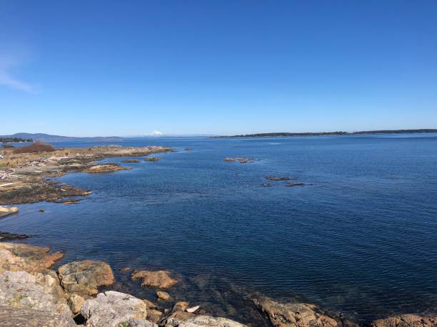 istock Tourists at cattle point in Victoria, BC 1347397331