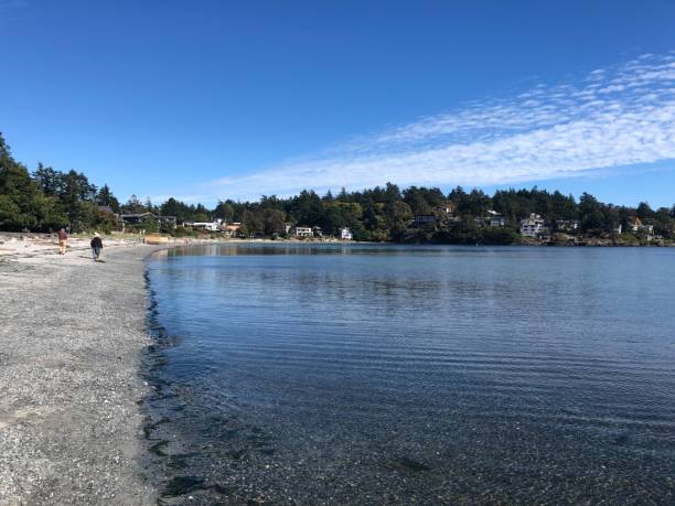 istock Cadboro-Gyro beach in Victoria, BC 1347397334