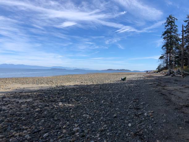istock Empty Rathtrevor Beach near Nanaimo in British Columbia 1347397466