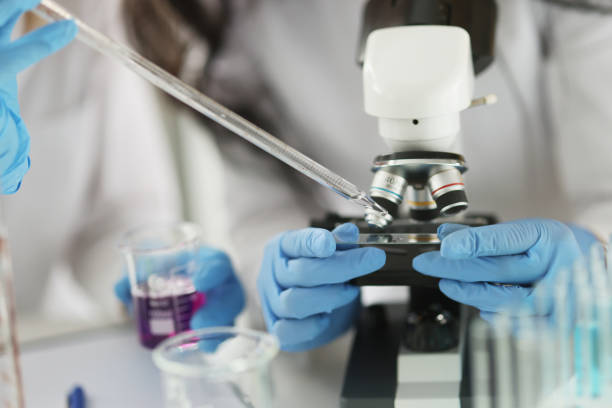 istock Scientist in gloves conducts laboratory studies of liquid on microscope 1347416518