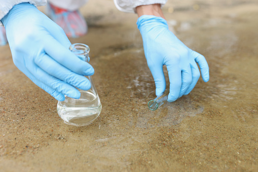Scientist with gloves takes samples in pond closeup