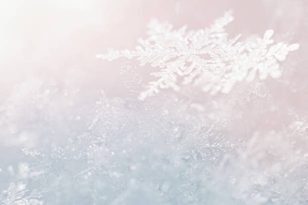 Beautiful winter background with crystalic snowflake