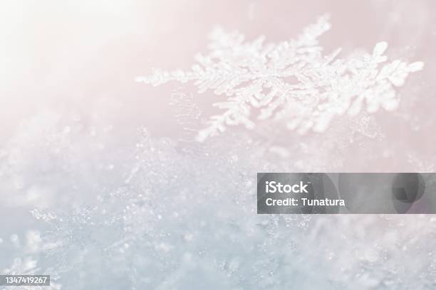 Beautiful Winter Background With Crystalic Snowflake Stock Photo - Download Image Now