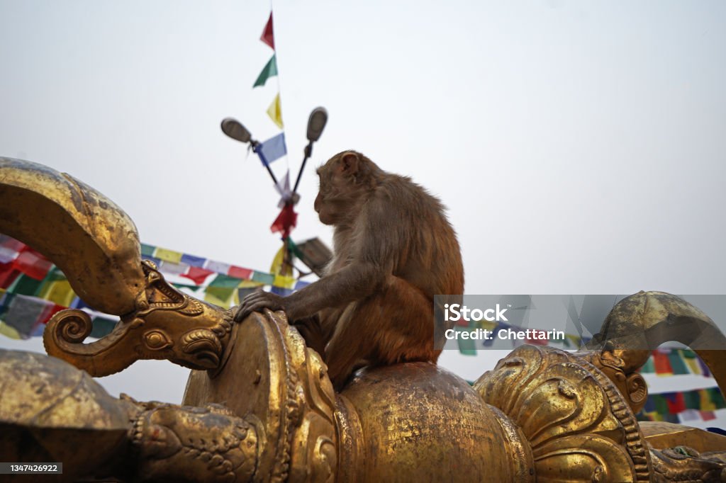 Monkey sitting on Swayambhunath building temple and sculture-  Kathmandu, Nepal Ape with design of traditional art and craft Ancient Stock Photo