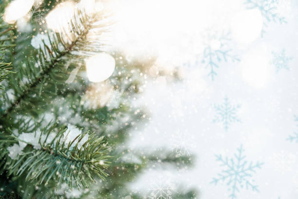istock Closeup of Christmas tree 1347429676