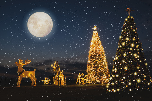 Christmas tree with full moon background in winter. Christmas and New Year holiday background. vintage color tone.