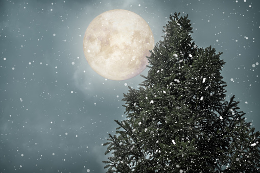 Christmas tree with full moon background in winter. Christmas and New Year holiday background. vintage color tone.