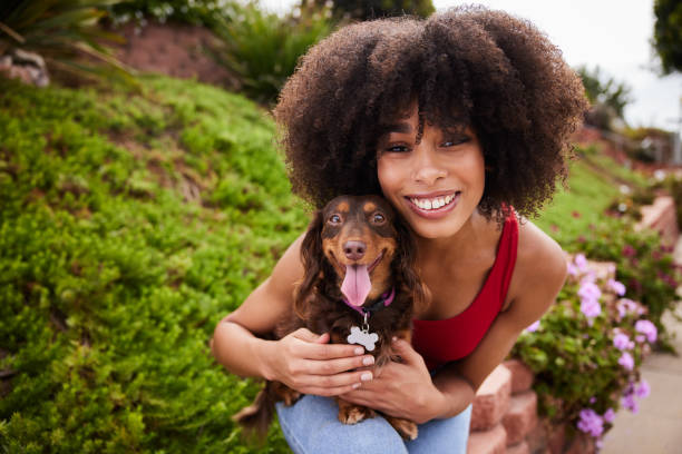 Smiling young woman sitting outside with her little dachshund Portrait of a young African American woman smiling and holding her cute little dachshund during a break from a walk rescued dog stock pictures, royalty-free photos & images