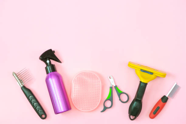 istock pet care and grooming tools on a pink background. 1347432442