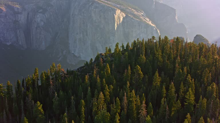 AERIAL Above the forests in Yosemite National Park in morning sun