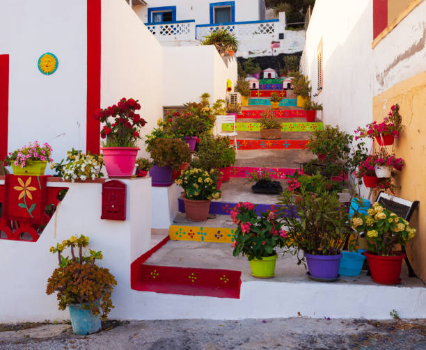 vue d’une maison colorée typique à linosa avec l’escalier plein de pots de fleurs - agrigento sicily italy tourism photos et images de collection