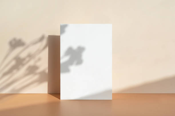 Card Mock-up and shadow in the beige background