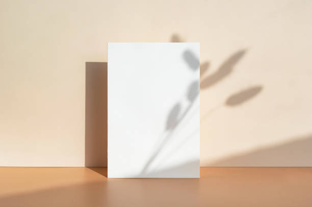 istock Card Mock-up and shadow in the beige background 1347438587