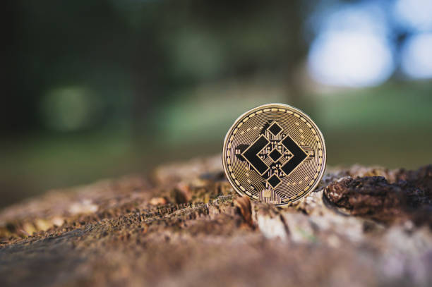 Gold Binance crypto coin on a tree outdoor, blurred background with space for text Binance crypto coin stands on wood outdoor close-up, copy space. Single gold BNB cryptocurrency coin and place for text. Green natural blurred forest background. khaki green photos stock pictures, royalty-free photos & images