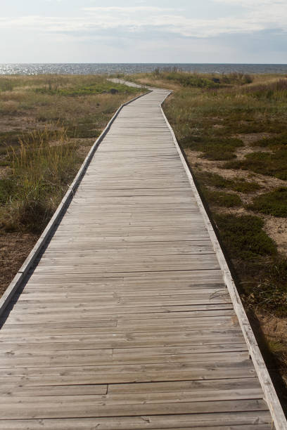 istock Boardwalk To The Sand Dunes 1347441783