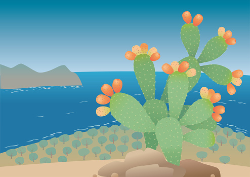 Prickly pear plant with fruits on the sea shore.