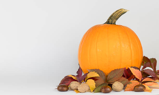 istock Big pumpkin, autumn leaves, nuts, on white background. 1347442577