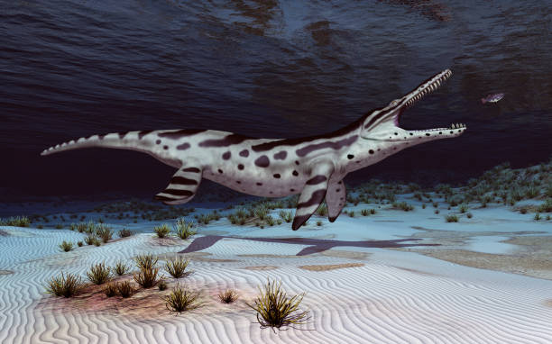 istock Pliosaur Kronosaurus on the hunt 1347447796