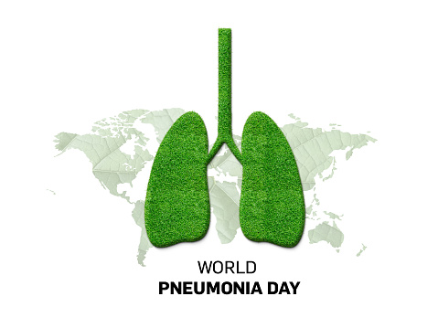 World Pneumonia Day concept. Lungs with a grass texture isolated on a background of a world map.