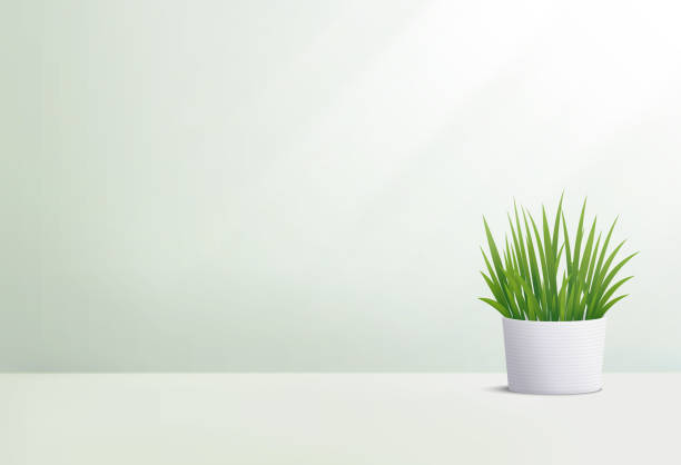 istock Background 3d abstract minimal scene with plant. Cosmetic product presentation. Vector illustration. 1347449753