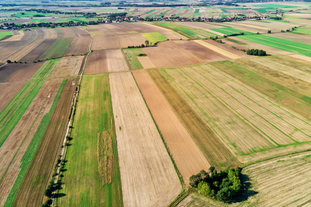 istock Aerial view of agricultural fields 1347450462