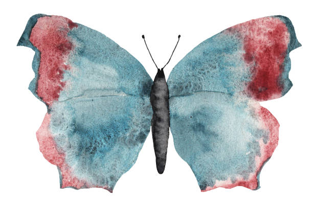 istock Watercolor blue butterfly in abstract style. Beautiful collection for decoration design. Art graphic illustration. Summer style 1347453294