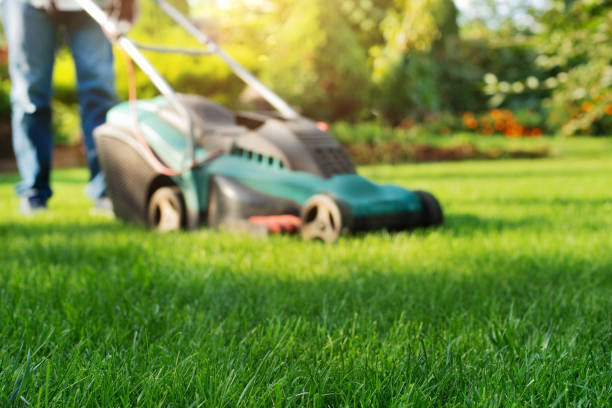 istock Man pushing lawn mower. Lawn care background, place for text 1347453446