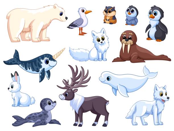 16,055 Arctic Animals Illustrations & Clip Art - iStock | Arctic animals  vector, Arctic animals illustration