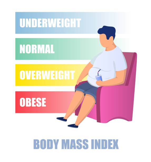 BMI, body mass index chart, vector illustration. Obese, overweight, normal, underweight. Body fat measurement tool. BMI, body mass index chart, flat vector illustration. Obese, overweight, normal and underweight. Body fat measurement method, tool. obesity stock illustrations