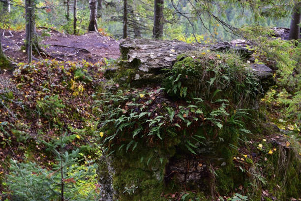 istock White, plaster, moss-covered sheer cliffs of Usvinskie Stolby 1347463690