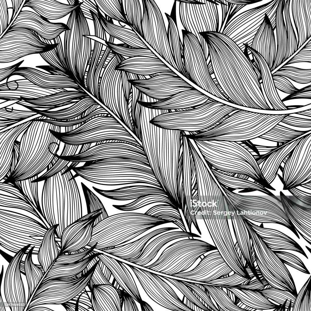 Simple Eye Feather Pattern Vector Vector Feather Pattern Hand Drawn Illustration Vector 10 Eps Stock ...