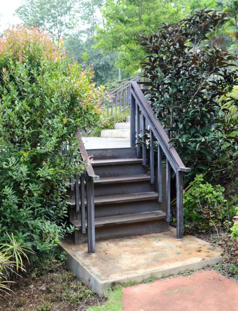 istock stair in nature garden 1347464882