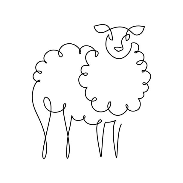 Sheep Sheep in continuous line art drawing style. Minimalist black linear design isolated on white background. Vector illustration ewe stock illustrations