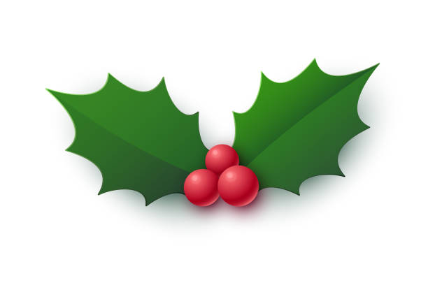 realistyczna ikona jagody ostrokrzewu. symbol bożego narodzenia - christmas clip art stock illustrations