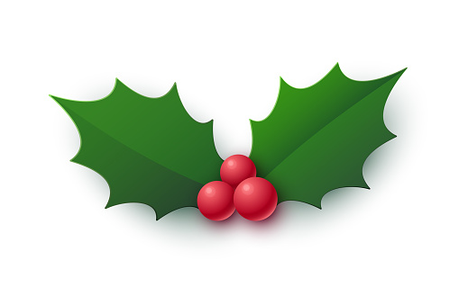 Holly berries icon. Carefully layered and grouped for easy editing.