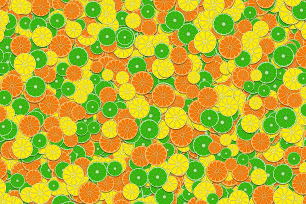 stockillustraties, clipart, cartoons en iconen met illustration of slices of orange, lemon and lime fruit - davies