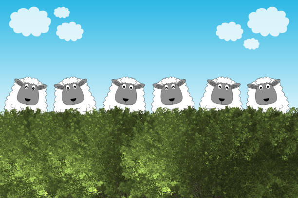 stockillustraties, clipart, cartoons en iconen met cute cartoon sheep looking over a green hedge. - davies