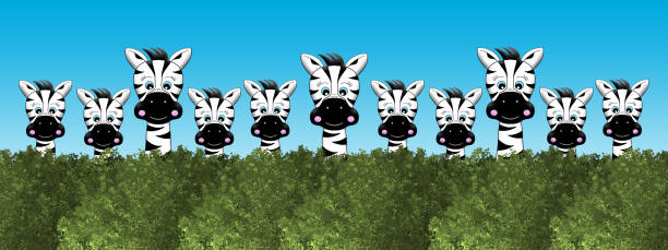 stockillustraties, clipart, cartoons en iconen met cute cartoon zebras looking over a green hedge - davies
