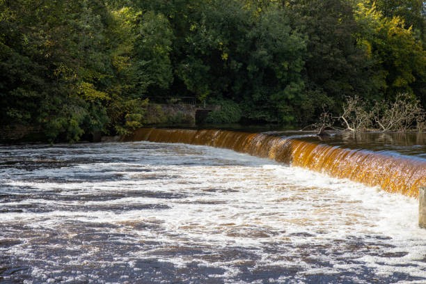 A beautiful water fall on the River Wharfe in the British town of Wetherby in Leeds A beautiful water fall on the River Wharfe in the British town of Wetherby in Leeds, West Yorkshire in the UK, on a hot sunny summers day river wharfe stock pictures, royalty-free photos & images