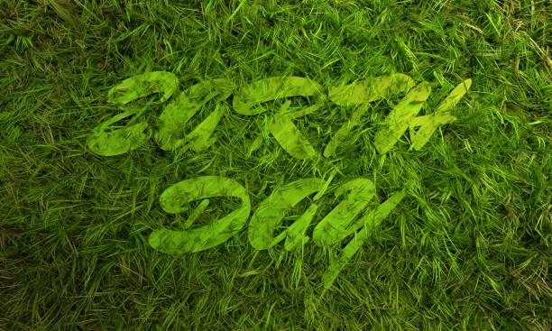 istock 3d green grass and earth day text 1347469013